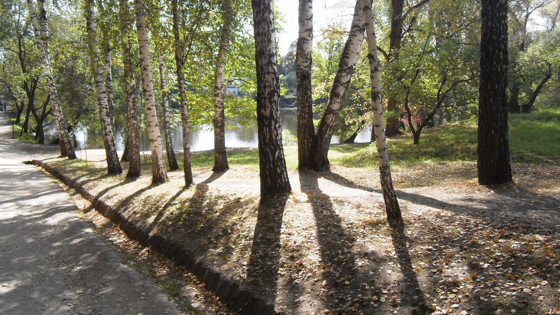 ��� �� �������� �������� ���� ��������