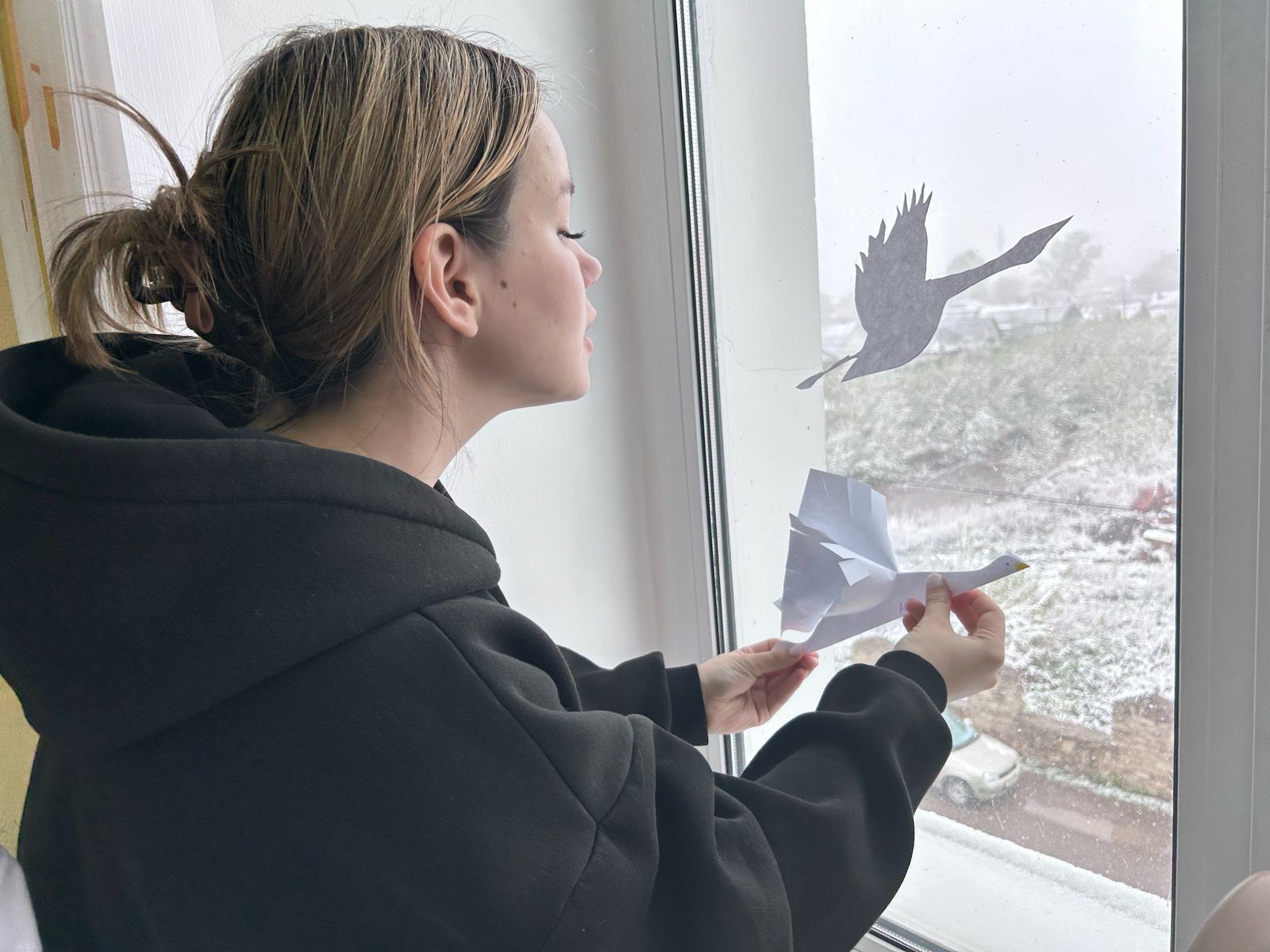 �������� ��������� ������ ����������