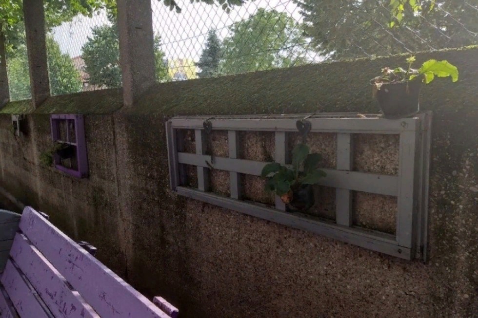 Specialist of the Elabuga Institute of Kazan Federal University tested the knowledge of residents of Zagreb in Russian language