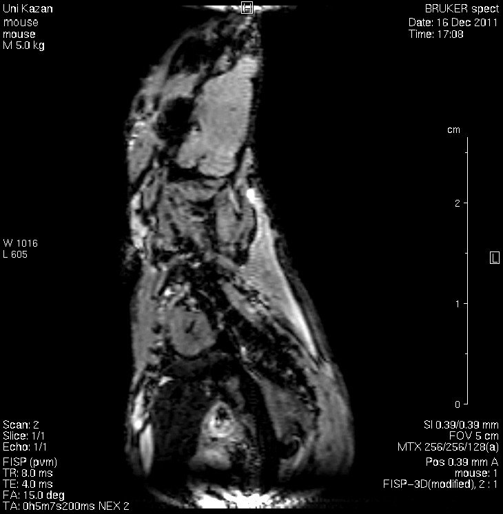 Кафедра физики молекулярных систем Кафедра физики молекулярных систем
