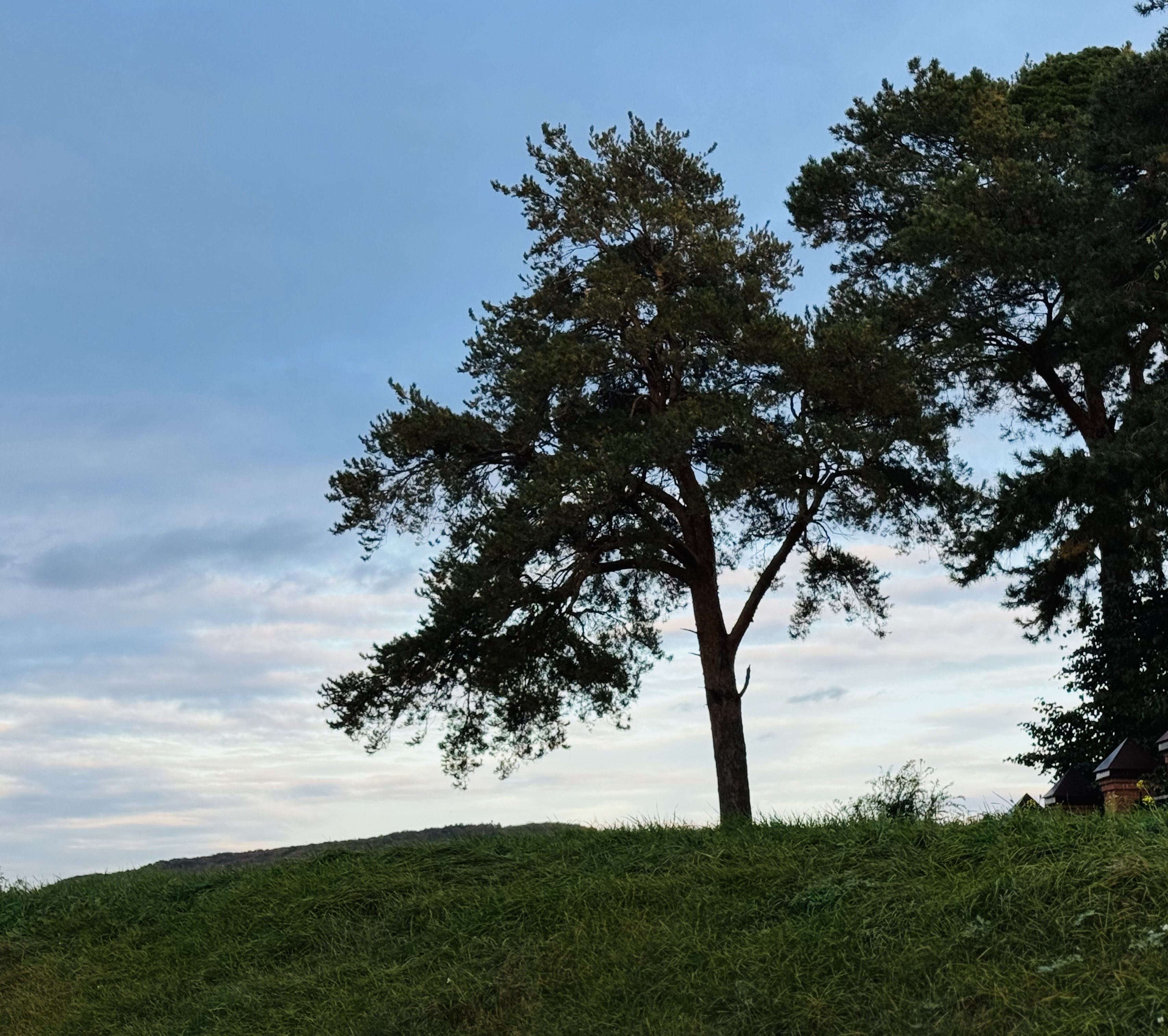 Путешествие к истокам: экскурсия в Свияжск Путешествие к истокам: экскурсия в Свияжск