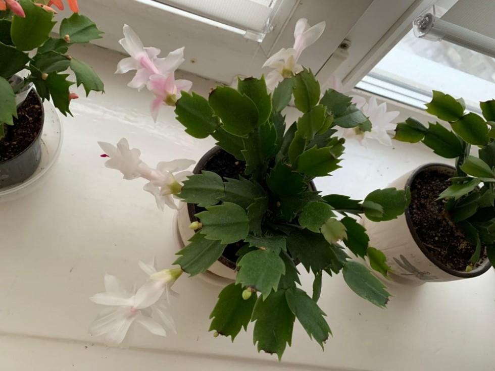 Юлия Журавлева: 'Химия ? это наука, умеющая творить чудеса' Юлия Журавлева: 'Химия ? это наука, умеющая творить чудеса'