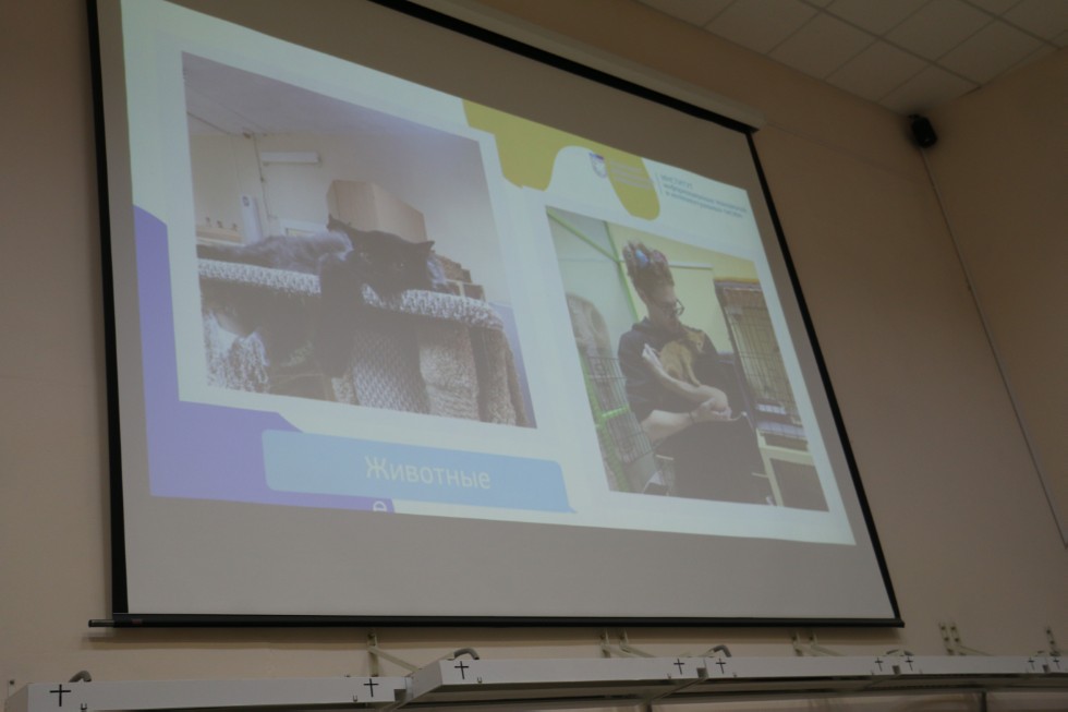 � ���� ������, ��������!