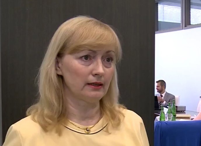 В формате Международных консультаций в ИНО обсудили некоторые аспекты языковой подготовки В формате Международных консультаций в ИНО обсудили некоторые аспекты языковой подготовки