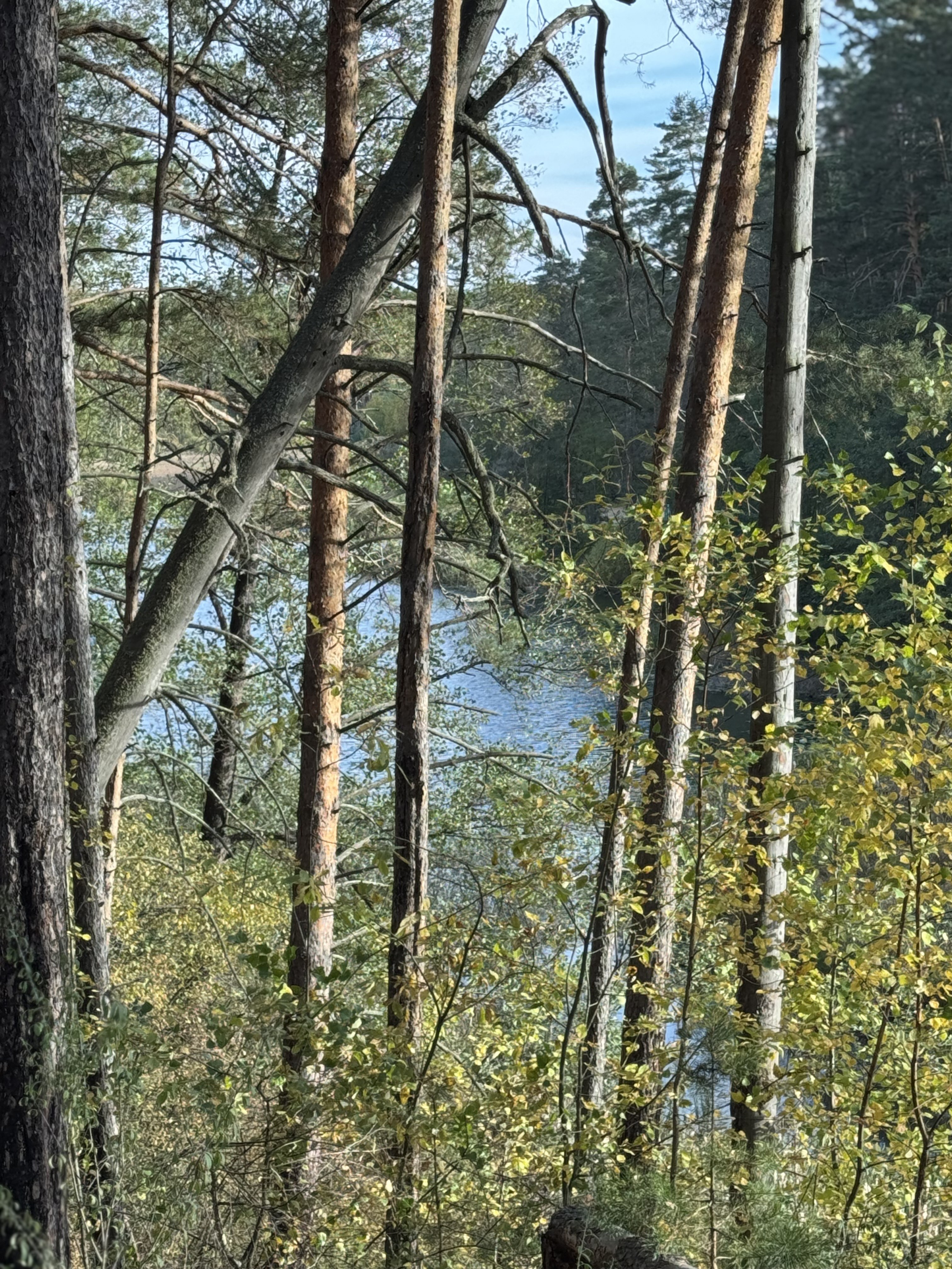 '��� � ��������� ����'?..