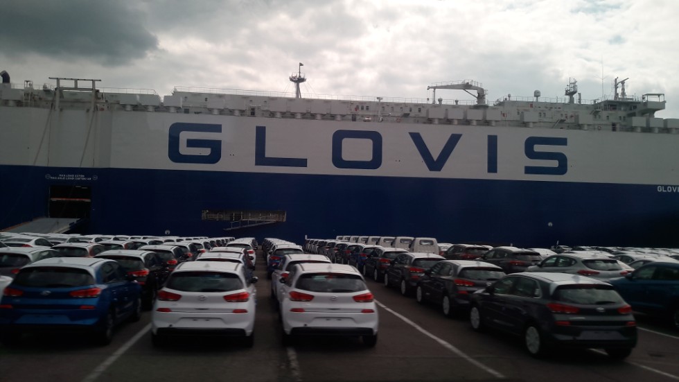 ����� ���������� ���������� �� 11� ������ �� ��������� 