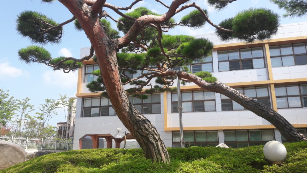 ����� ���������� ���������� �� 11� ������ �� ��������� 