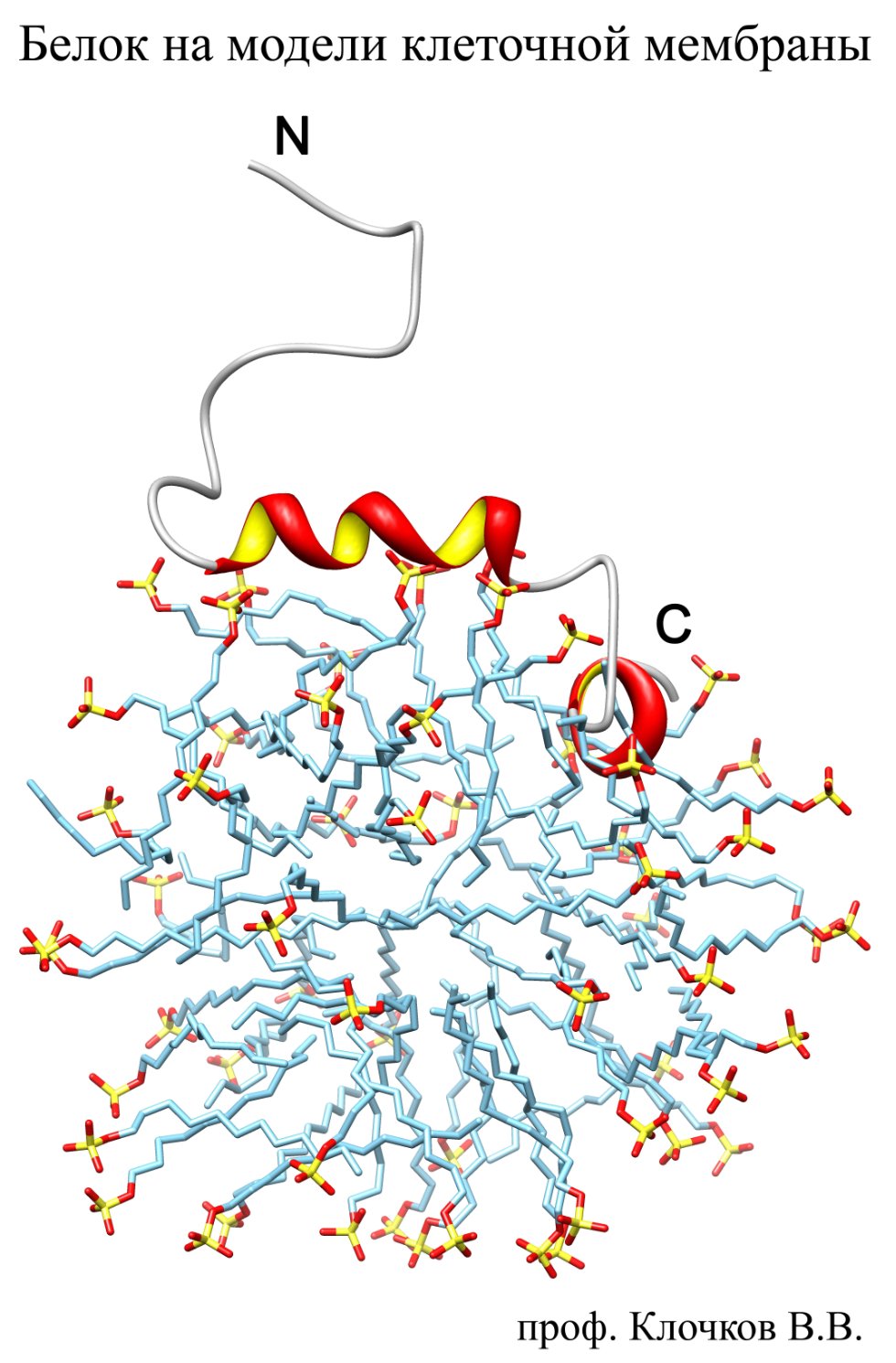 ������� ������������