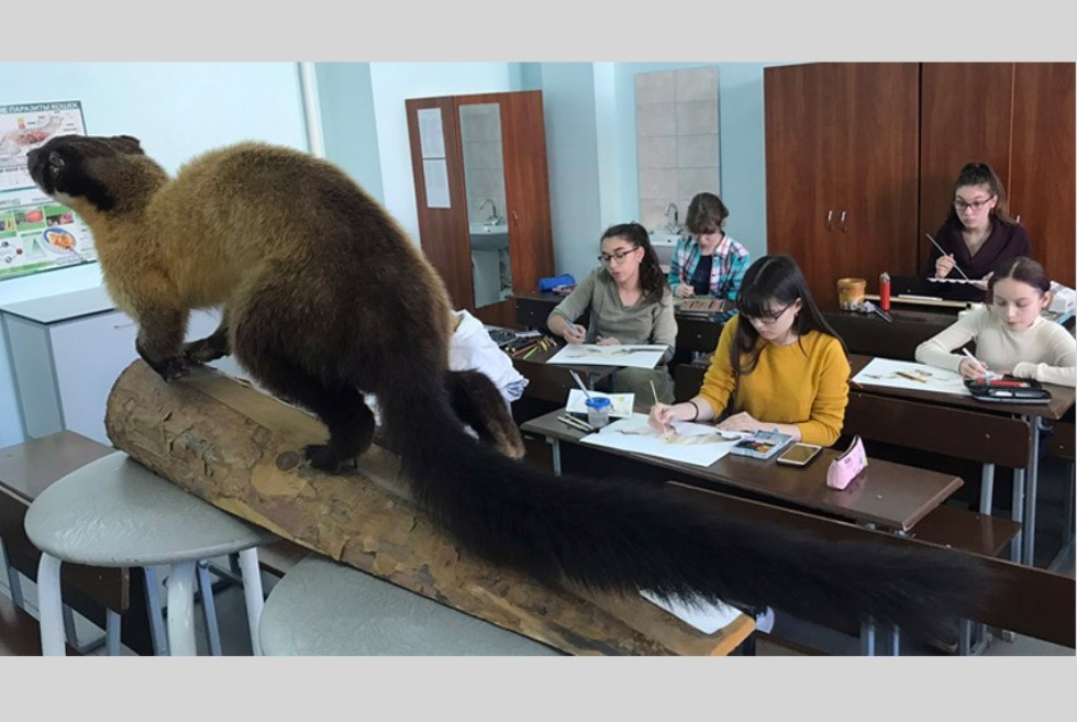 ��������� ������� �������� �������������� ������� ����� ���������� �.������ ������ � ��������� ��������������� �������� � ��������.