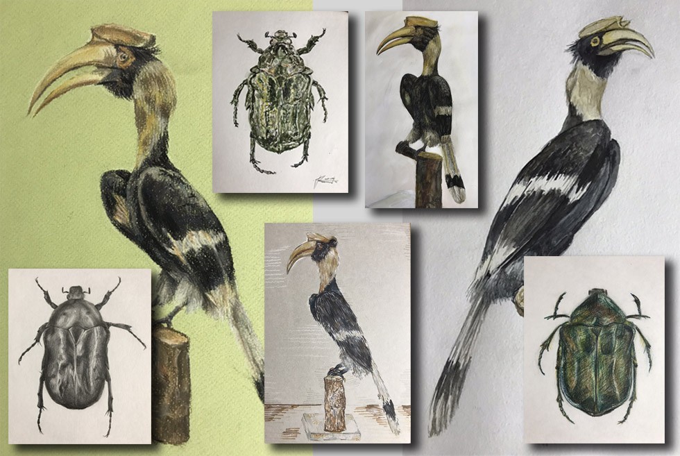 Финал уходящего года зоомузей университета отметил очередным мероприятием Финал уходящего года зоомузей университета отметил очередным мероприятием