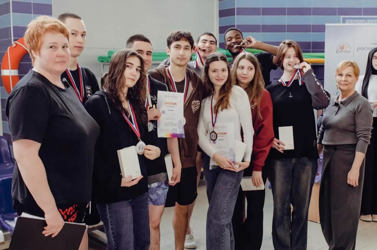 Фестиваль Фестиваль