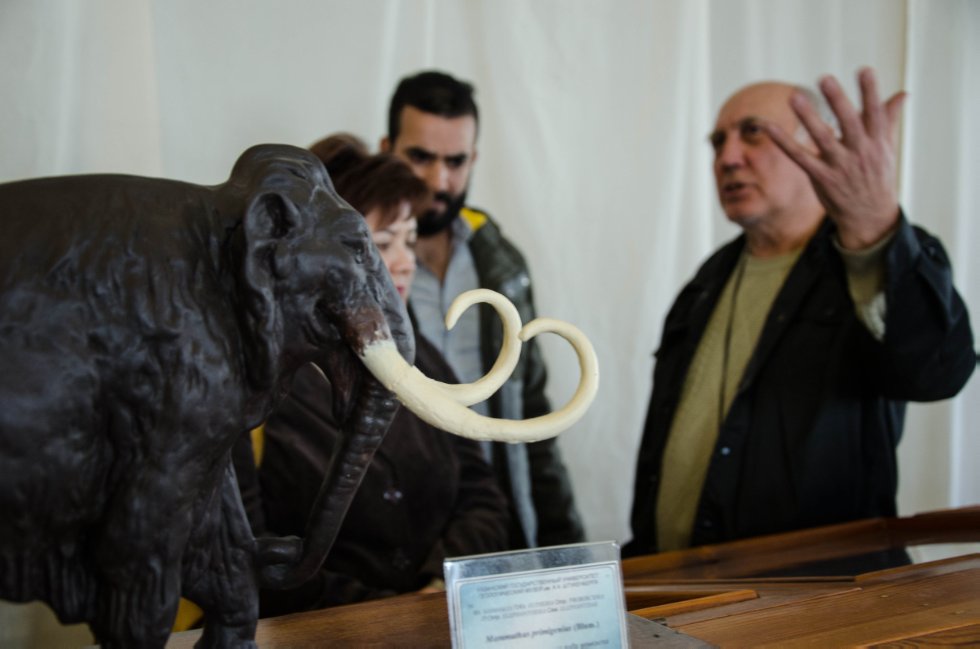 Collections History Collections History