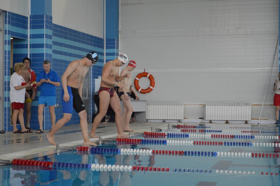 � �������� ���� - �������� ���