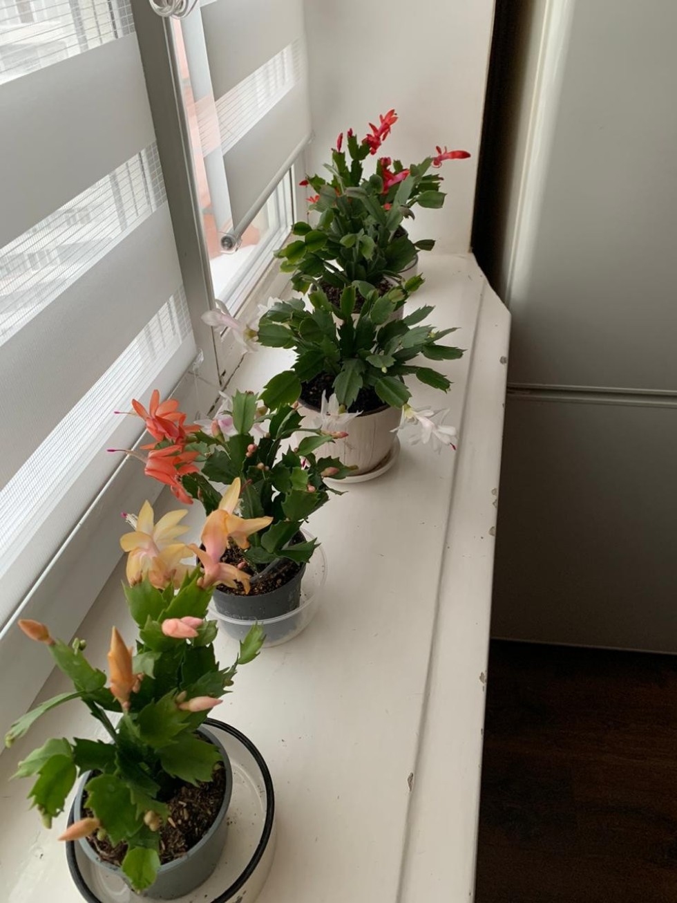 Юлия Журавлева: 'Химия ? это наука, умеющая творить чудеса' Юлия Журавлева: 'Химия ? это наука, умеющая творить чудеса'