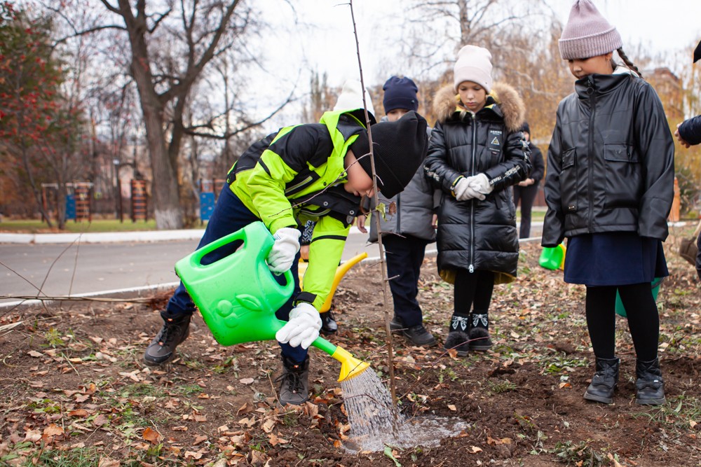 �� ���������� '���������������' ����� �� ��� �������� ������� �������