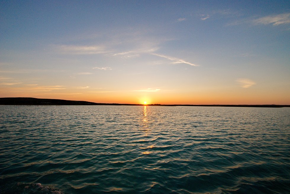 ����� ������