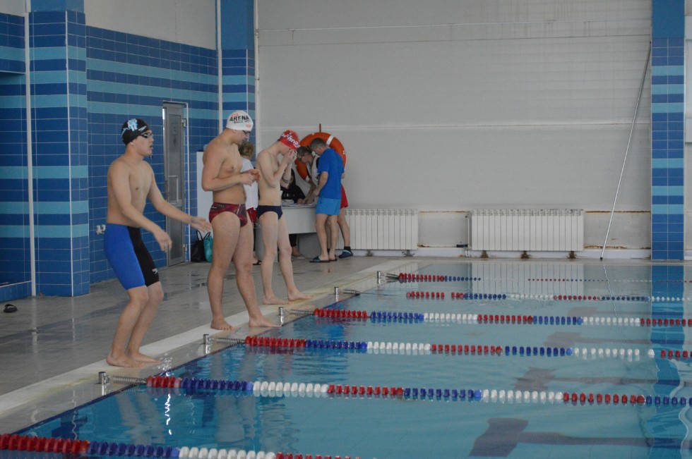 � �������� ���� - �������� ���