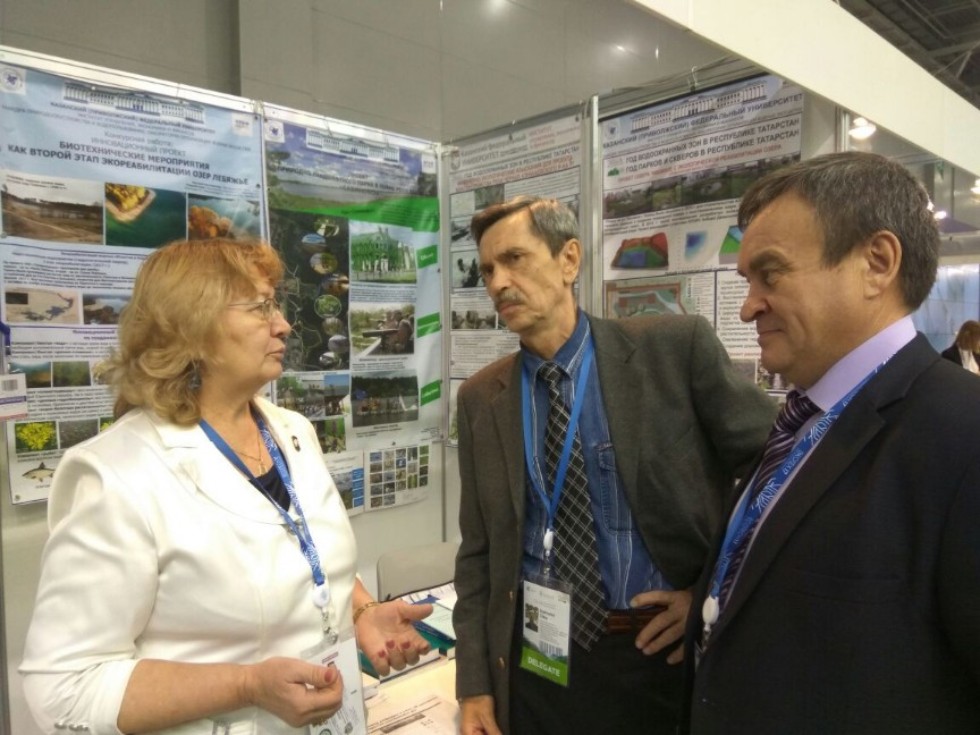 ��� - �������� II-�� ������������� �������� - ������ '������' 17' � V �������������� ������ �� ������ ���������� �����.