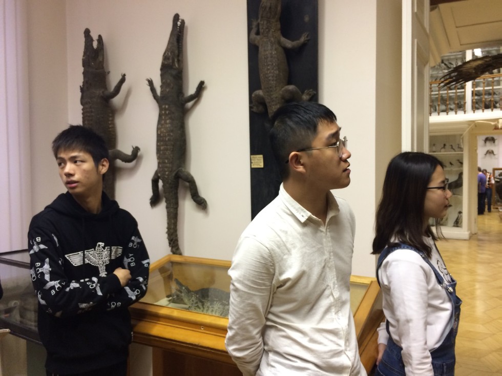 ����� ? ���, � ������ �������, ����������!