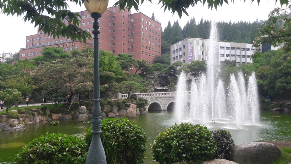 ����� ���������� ���������� �� 11� ������ �� ��������� 