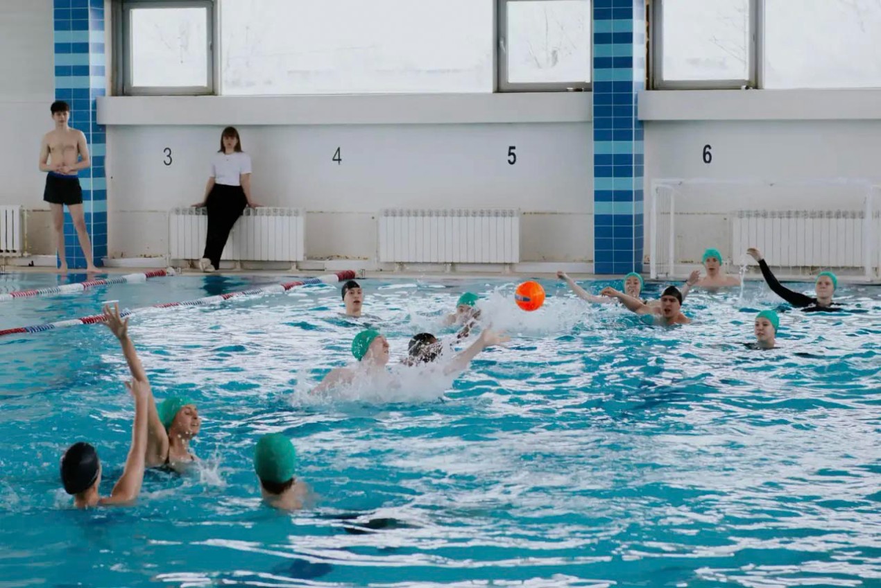 Фестиваль Фестиваль