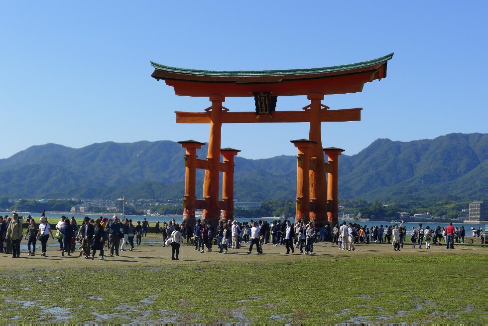 ������ ���� ������ ����������� ������������ ��� � ������������ ������� �������������� �������������� '������ ? ��������� ���'