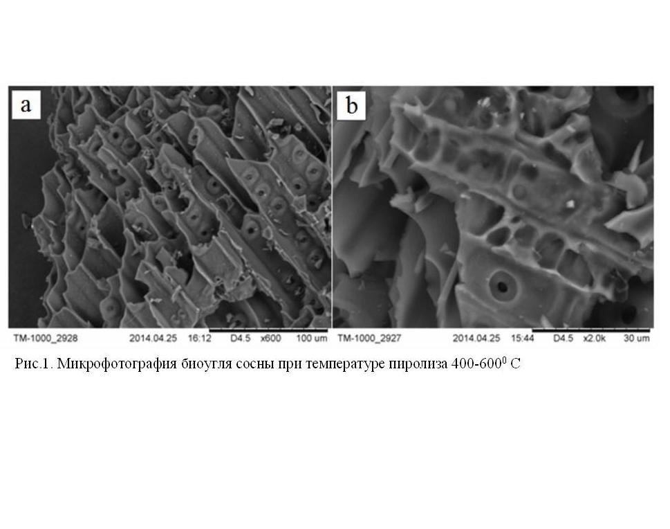 ���������� ������������ �������������� �������