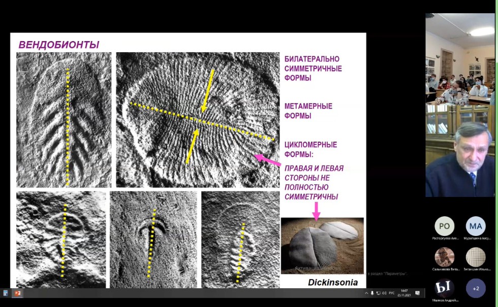 ���� �������� ������