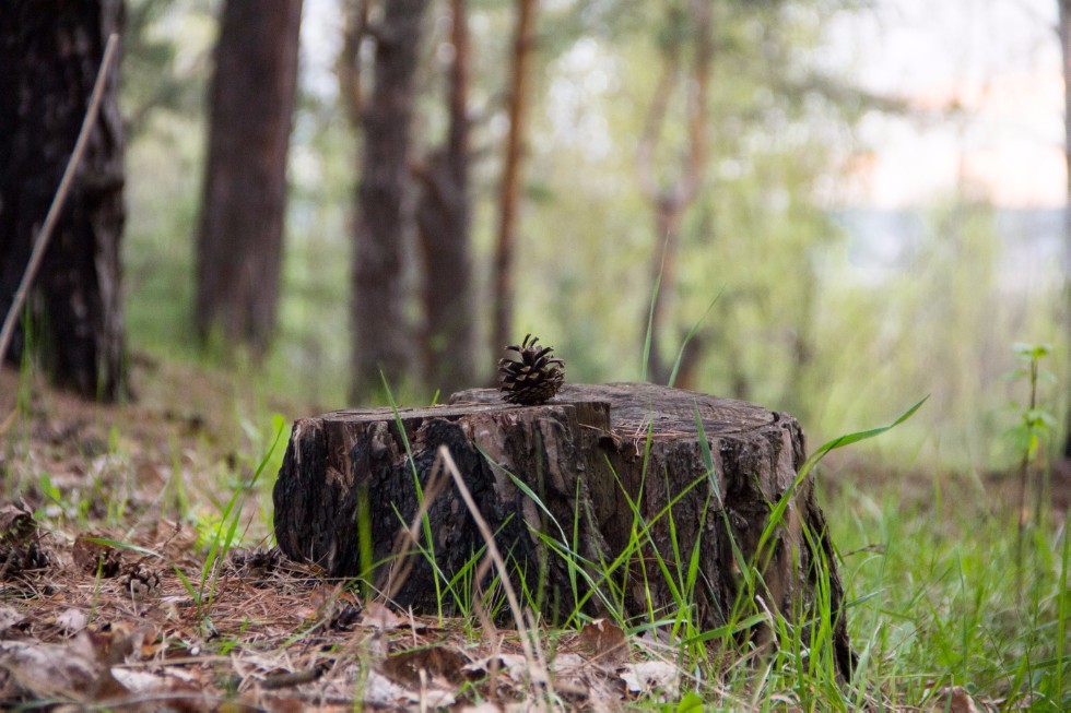 �������� ��� ��� ������� ������� � �������� '����� ������ � ���������'