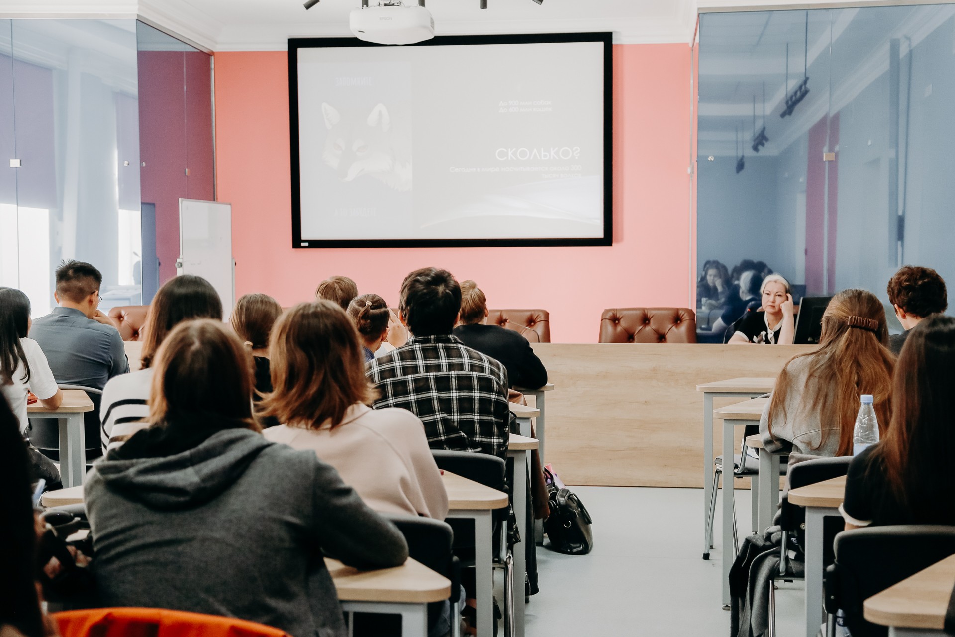 ��������� ,���������