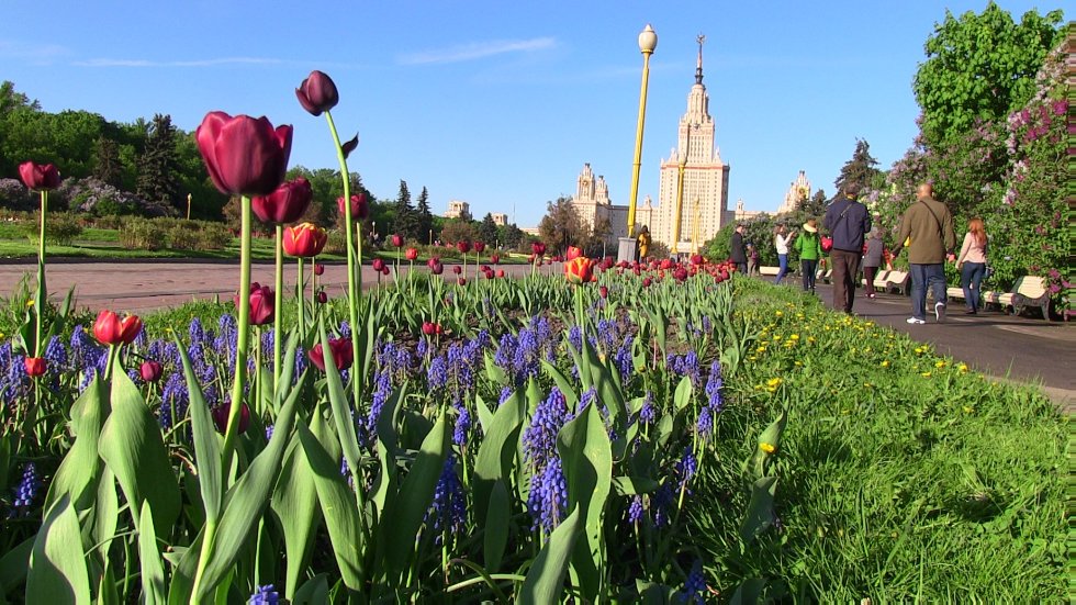 A student of Institute of Philology and Intercultural Communication has won the All-Russian Turkish Language Olympiad