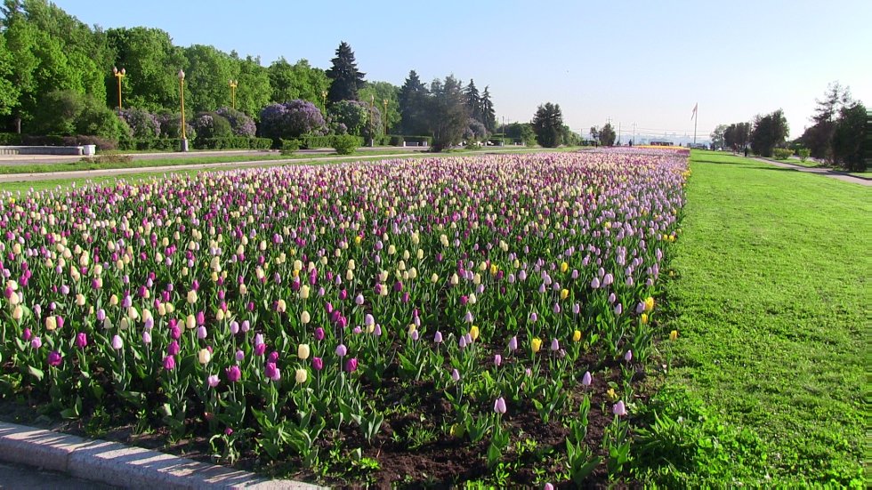 A student of Institute of Philology and Intercultural Communication has won the All-Russian Turkish Language Olympiad