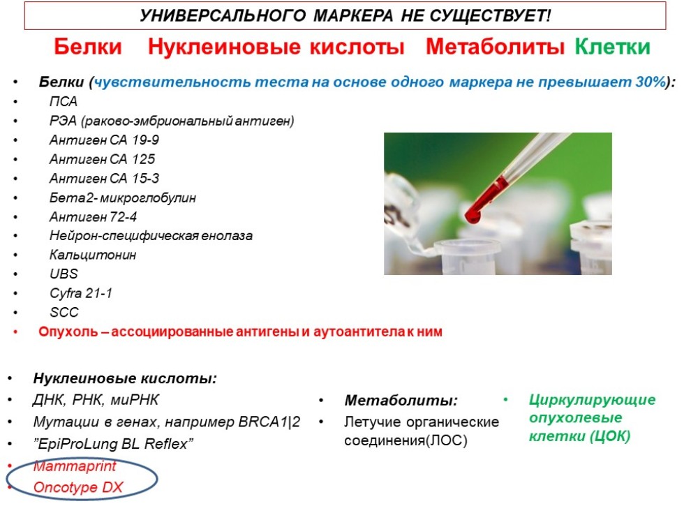 Биохимические вопросы. Современные проблемы биохимии. Биохимия в вопросах и ответах. Проблемы биохимика. Современные проблемы биохимии список кратко.