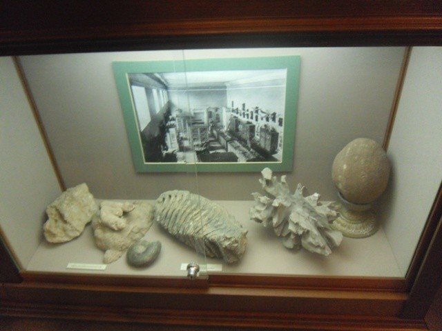 11� � ����� ������� ���