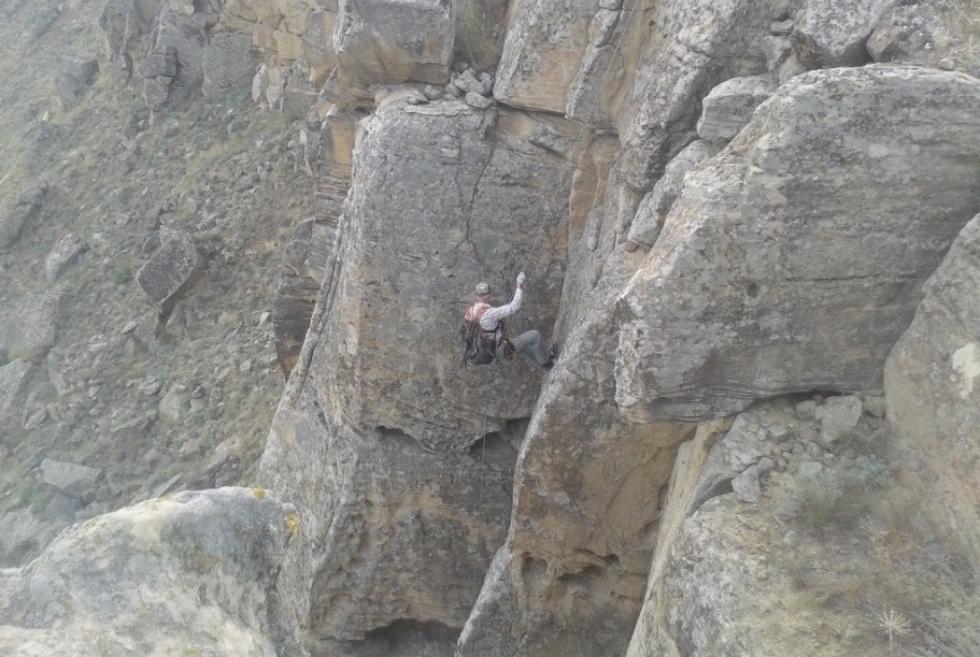 ������ ����������� ��������� ��� ��������� �������� �� ���������� �� ���������