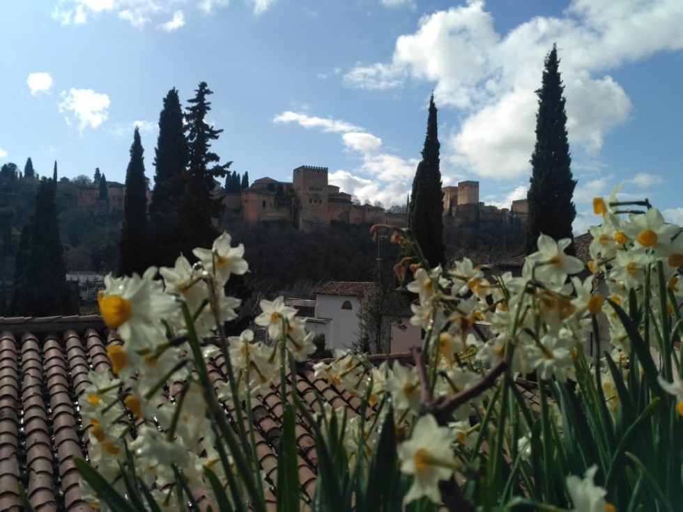 ������������ ������ �������� � �������� ����� �������