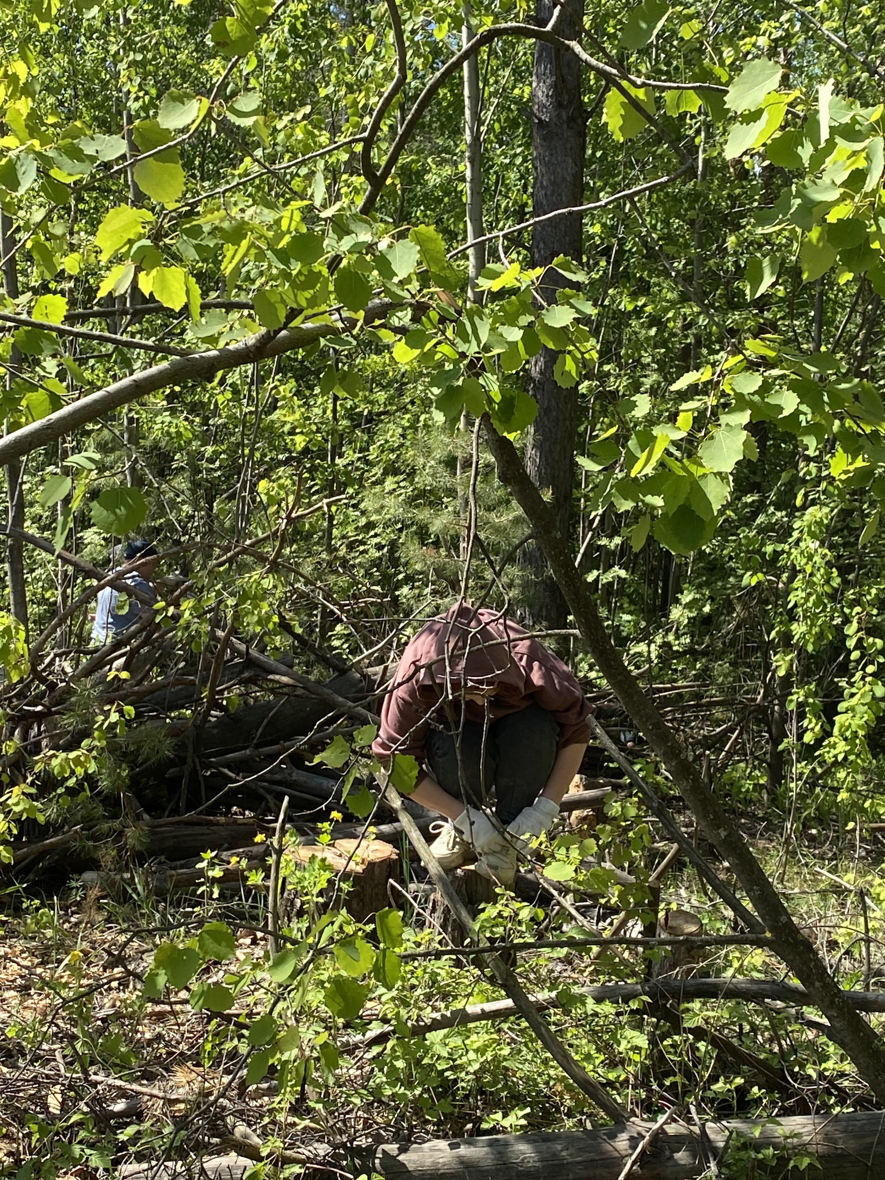 Участие студентов кафедры в акции 'Чистые леса Татарстана' Участие студентов кафедры в акции 'Чистые леса Татарстана'