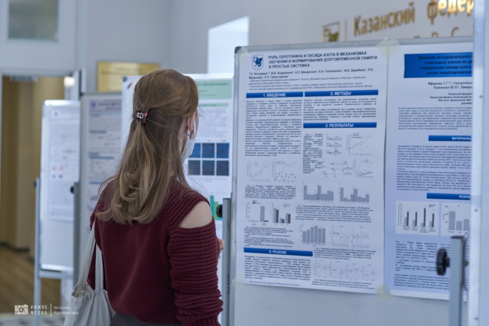 Конференция Конференция