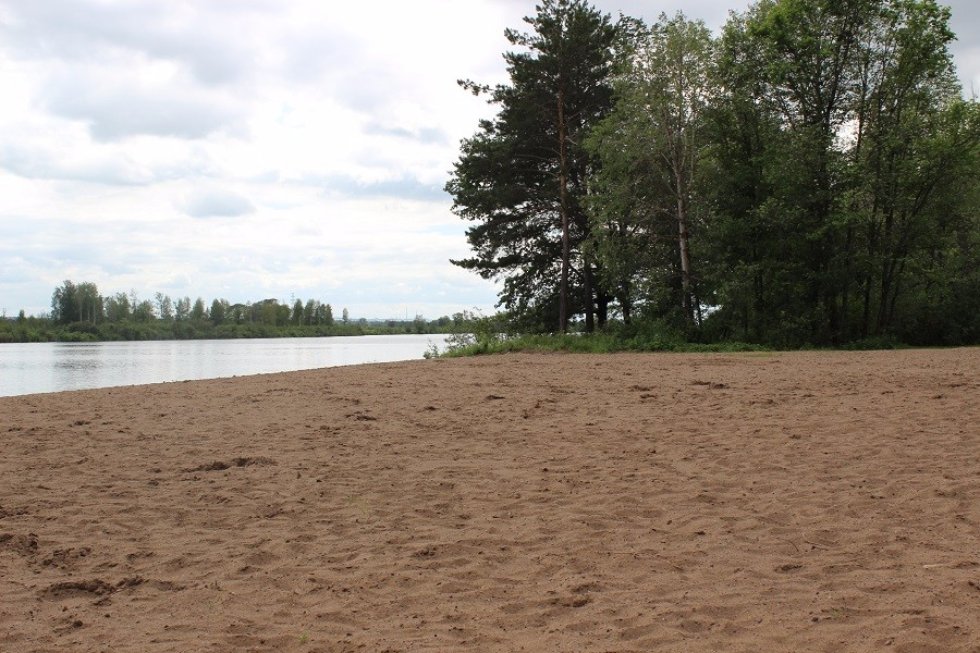 ���������-��������������� ������ '�����������'