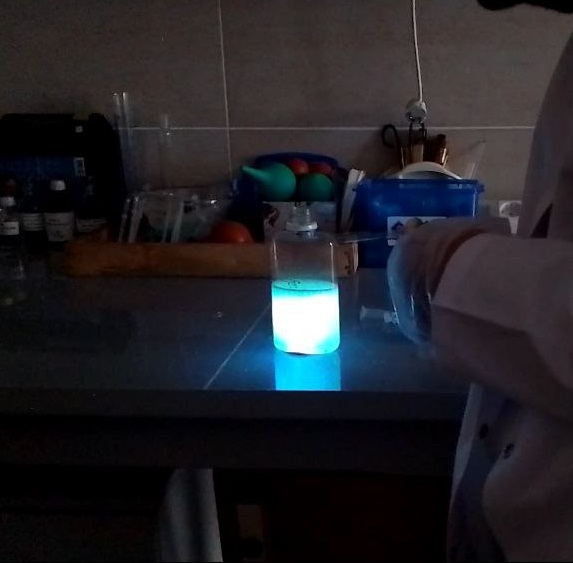 XXXI ��������� ����� (������� ������-������������ ���������� ���������) �� ������� ����������� �����������