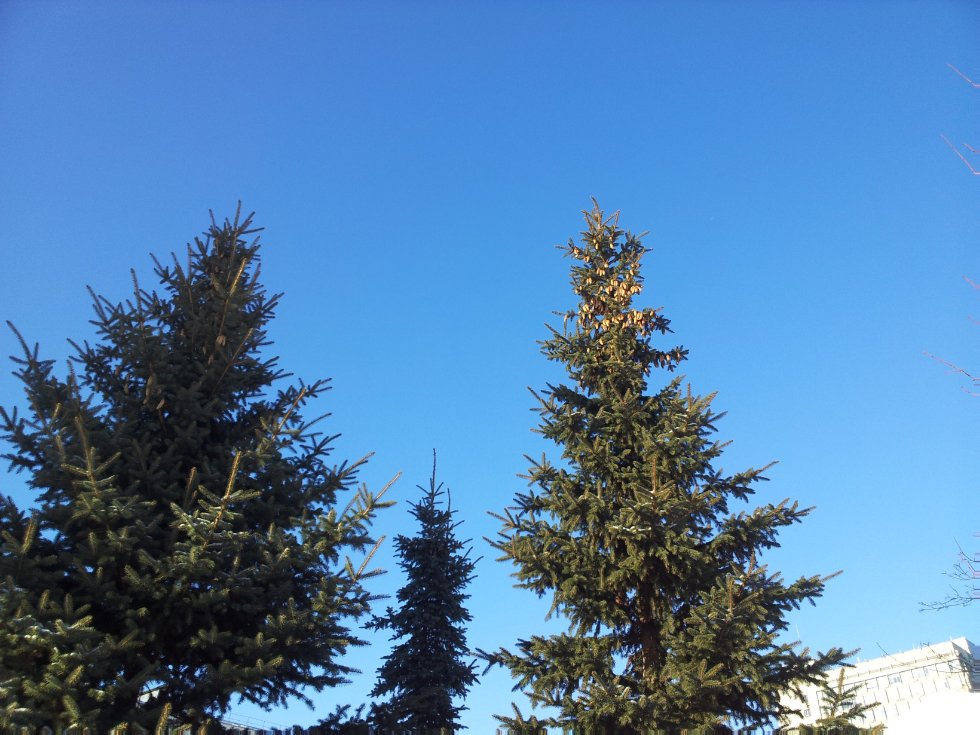 Обзор погодных условий в г.Казани в марте 2015 года по данным метеостанции Казань-университет. Обзор погодных условий в г.Казани в марте 2015 года по данным метеостанции Казань-университет.