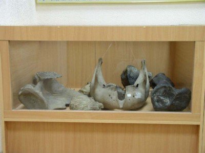 ����� ������� ���� ���������� �������� �1