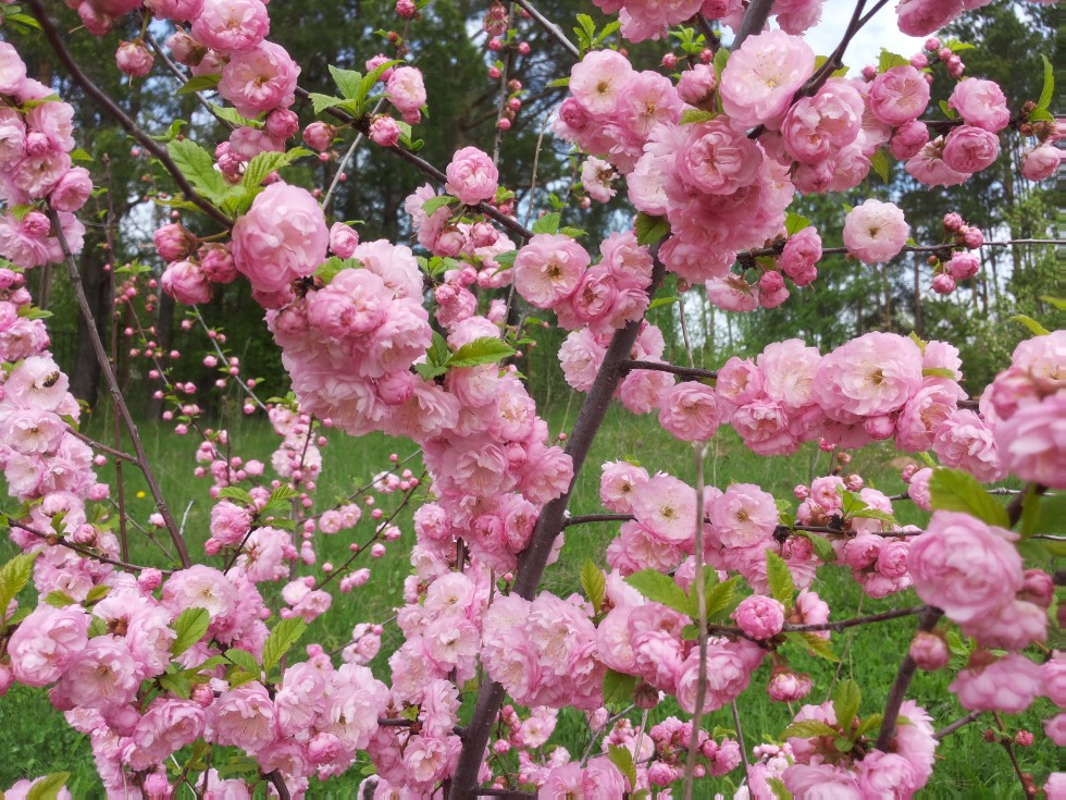 ���������� ��������