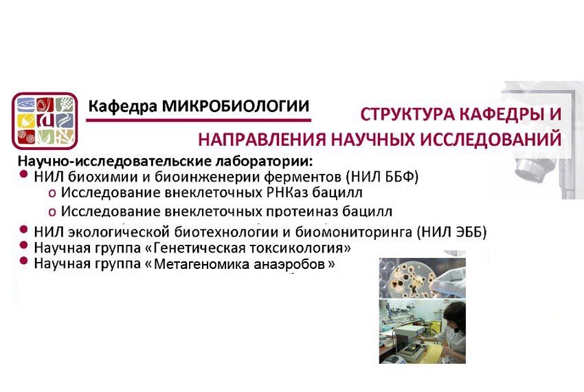 Научная работа Научная работа