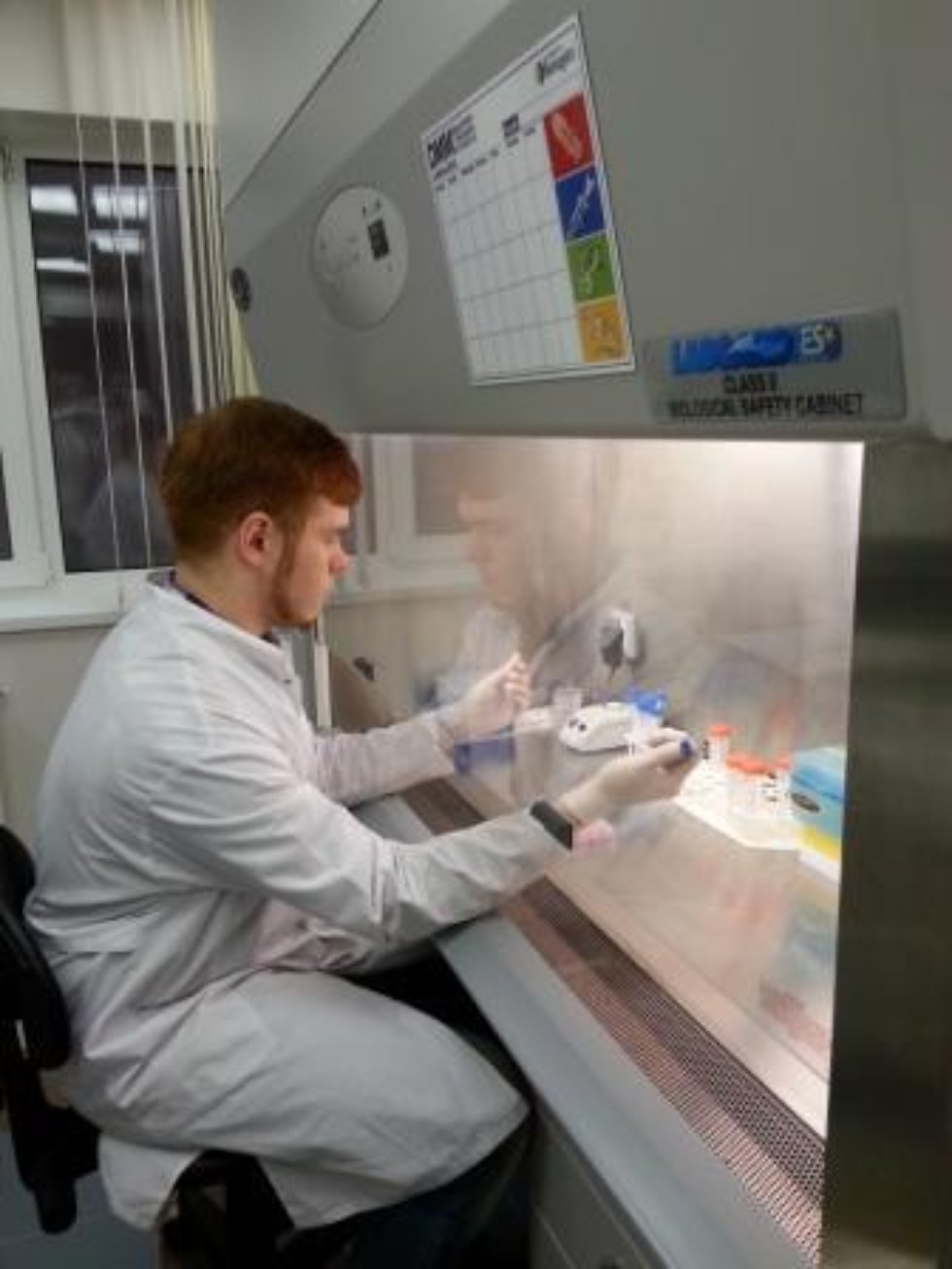 ������� ������������