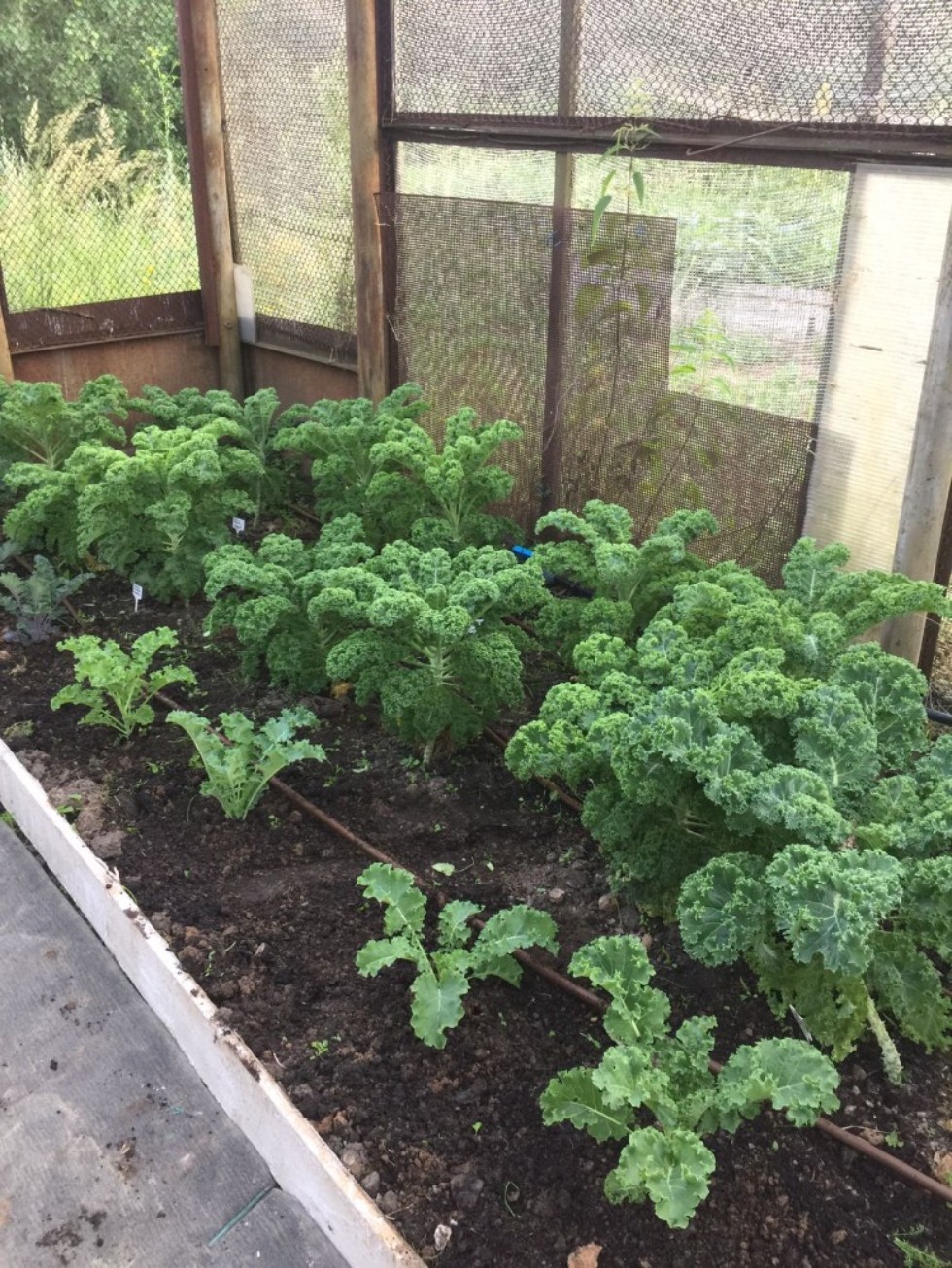 ������� ���� ���������� �� ���������� ���������� ��������� �������� ������ ��������� ������� � ������� ��������