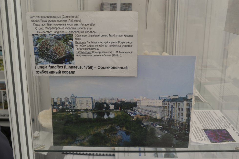 ������� ������������������� � ���������������