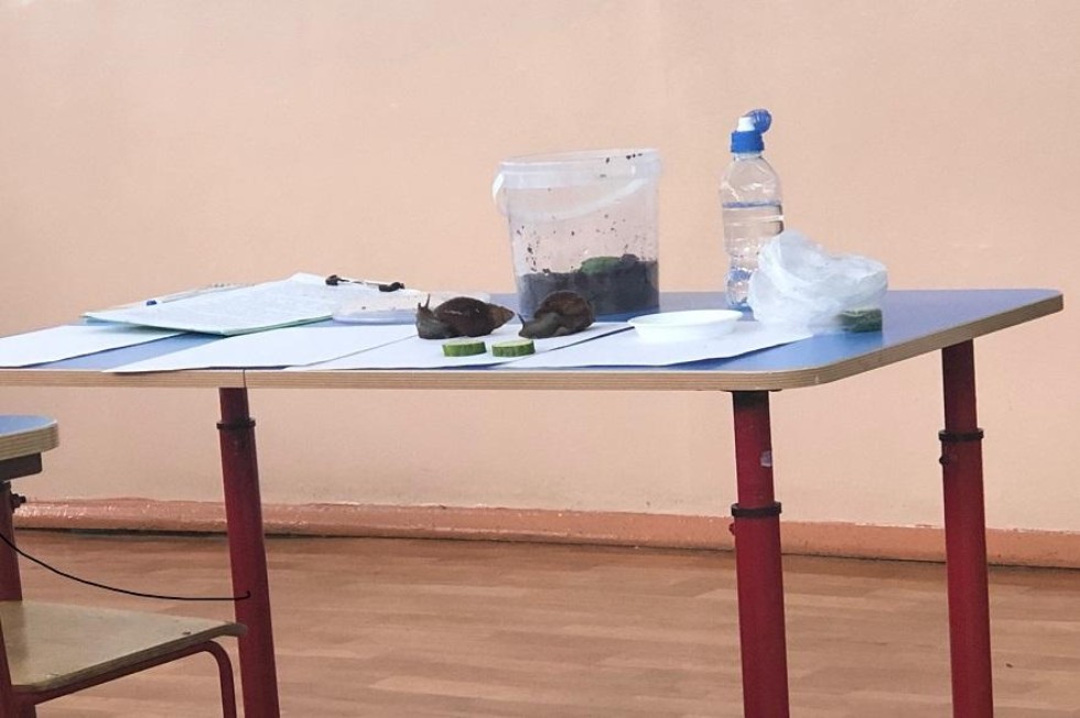 ������-������������ ����������� ���������� '�������'