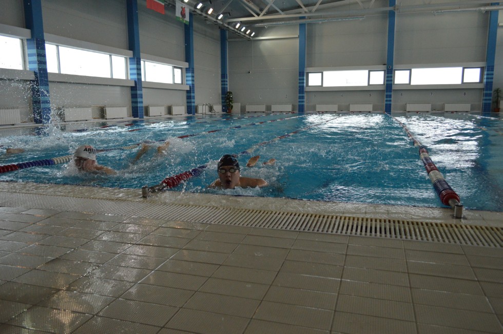 � �������� ���� - �������� ���