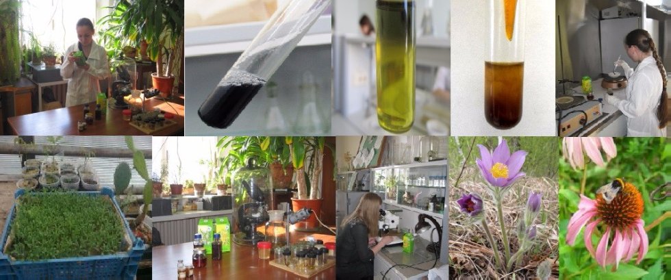 ������� �������